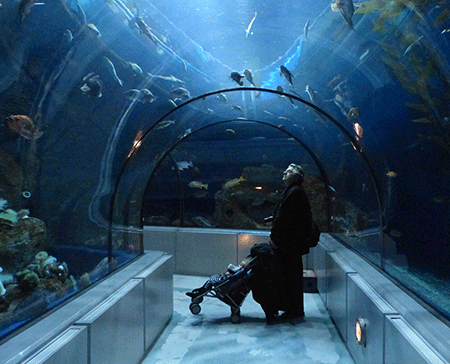 Aquarium du Québec